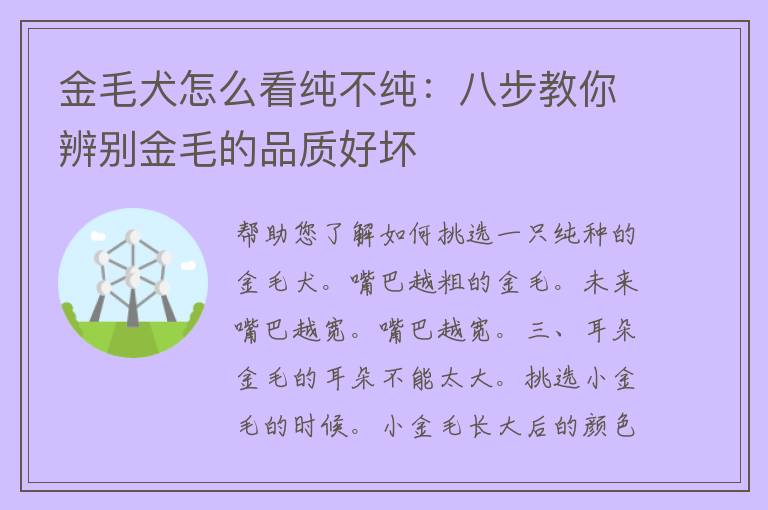 金毛犬怎么看纯不纯：八步教你辨别金毛的品质好坏