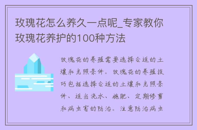 玫瑰花怎么养久一点呢_专家教你玫瑰花养护的100种方法