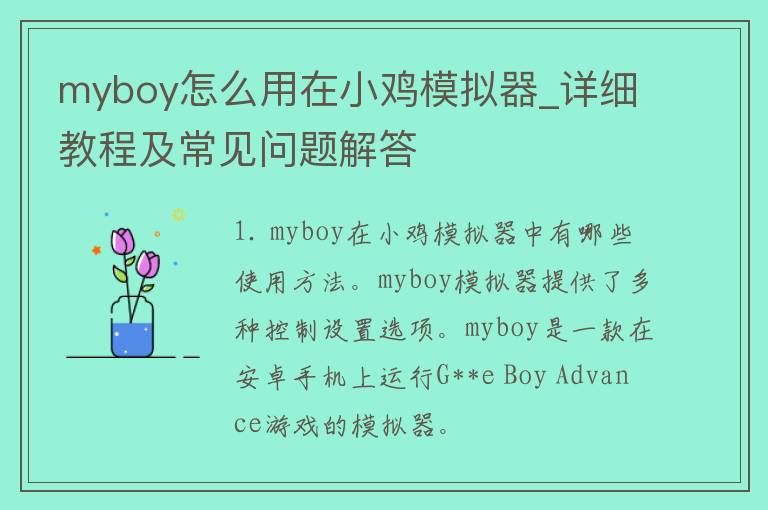 myboy怎么用在小鸡模拟器_详细教程及常见问题解答