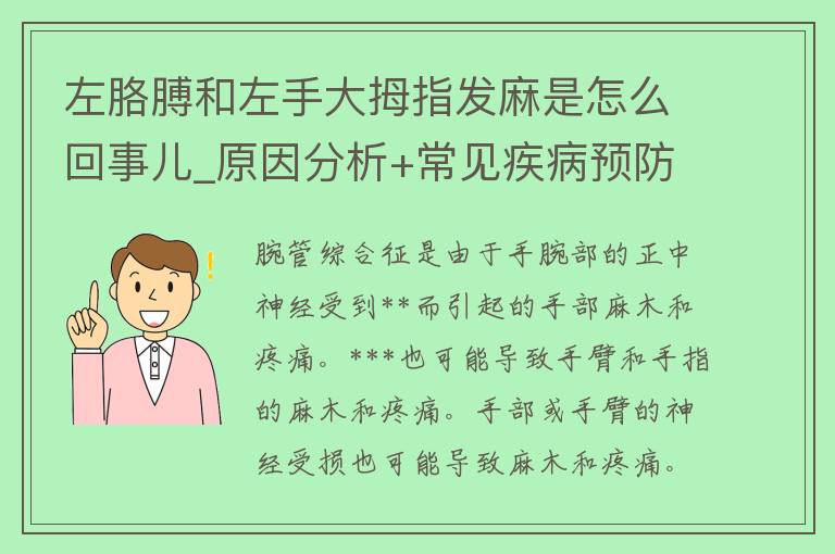 左胳膊和左手大拇指发麻是怎么回事儿_原因分析+常见疾病预防