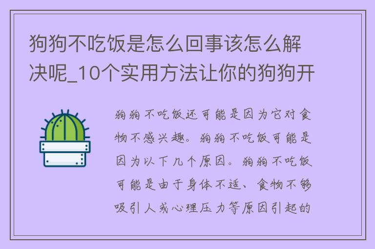 狗狗不吃饭是怎么回事该怎么解决呢_10个实用方法让你的狗狗开胃。