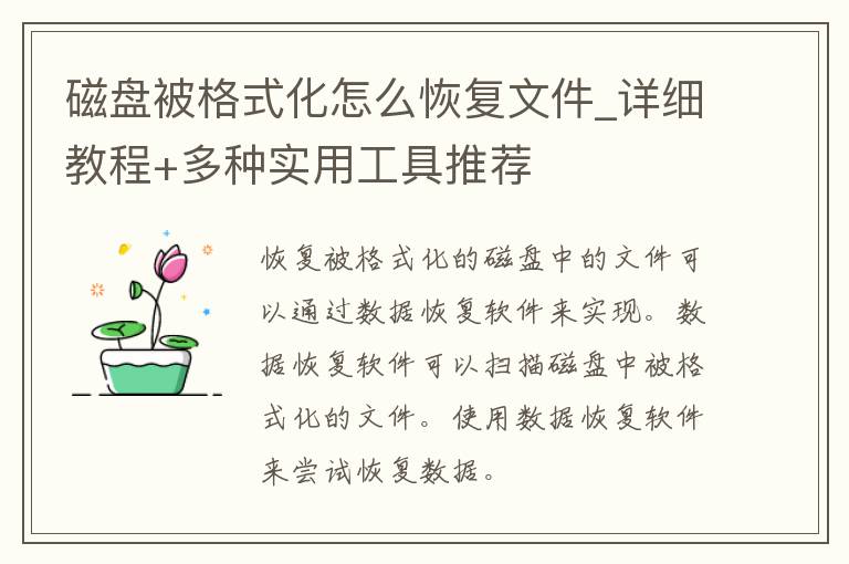 磁盘被格式化怎么恢复文件_详细教程+多种实用工具推荐