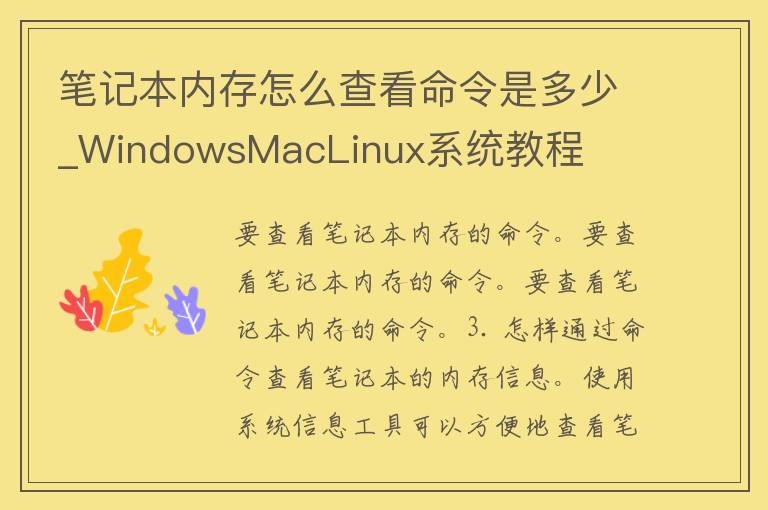 笔记本内存怎么查看命令是多少_WindowsMacLinux系统教程