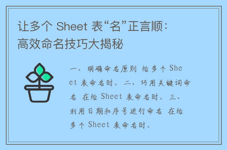 让多个 Sheet 表“名”正言顺：高效命名技巧大揭秘