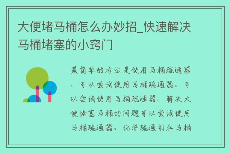 大便堵马桶怎么办妙招_快速解决马桶堵塞的小窍门