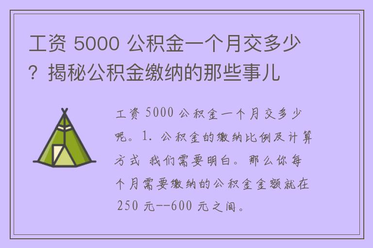 工资 5000 公积金一个月交多少？揭秘公积金缴纳的那些事儿