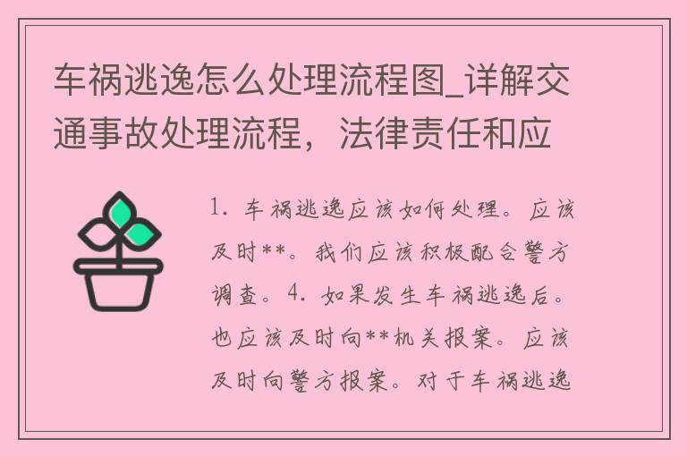 车祸逃逸怎么处理流程图_详解交通事故处理流程，法律责任和应对措施。