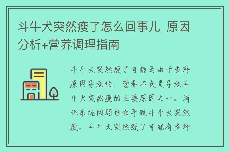 斗牛犬突然瘦了怎么回事儿_原因分析+营养调理指南