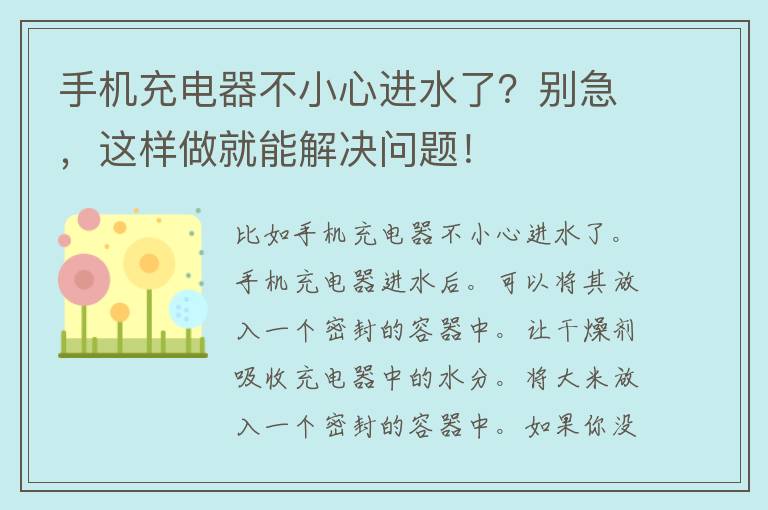 手机充电器不小心进水了？别急，这样做就能解决问题！