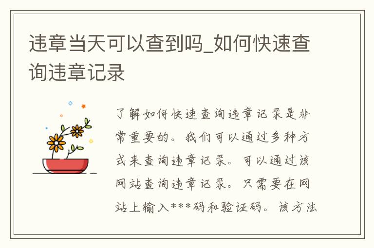 违章当天可以查到吗_如何快速查询违章记录