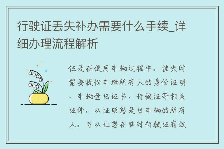 行驶证丢失补办需要什么手续_详细办理流程解析