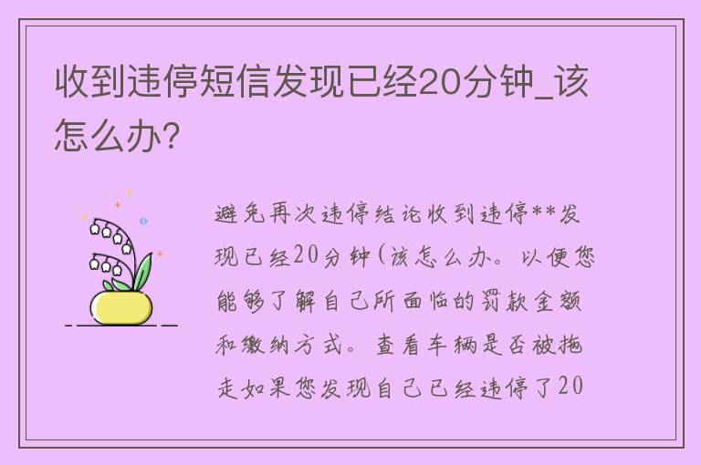 收到违停**发现已经20分钟_该怎么办？