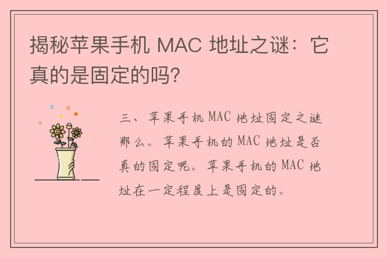 揭秘苹果手机 MAC 地址之谜：它真的是固定的吗？