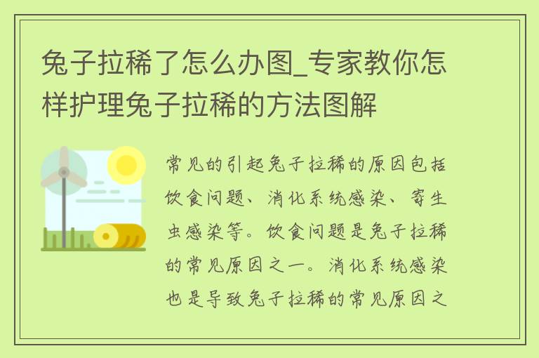 兔子拉稀了怎么办图_专家教你怎样护理兔子拉稀的方法图解