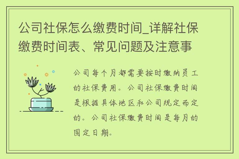 公司社保怎么缴费时间_详解社保缴费时间表、常见问题及注意事项