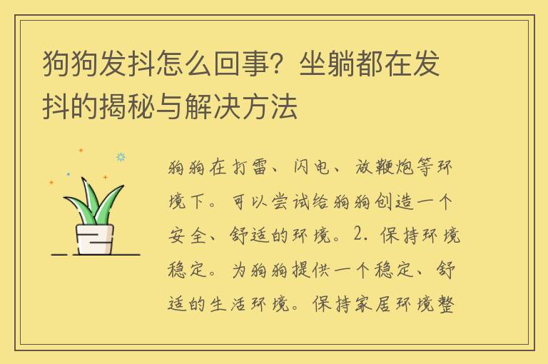 狗狗发抖怎么回事？坐躺都在发抖的揭秘与解决方法