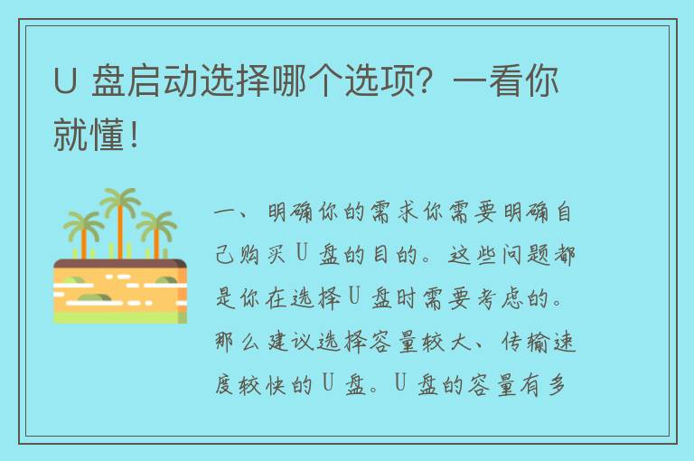 U 盘启动选择哪个选项？一看你就懂！