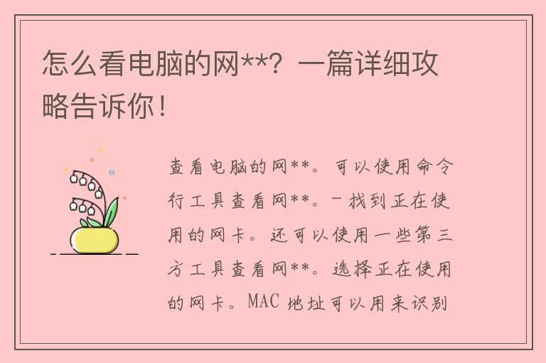 怎么看电脑的网**？一篇详细攻略告诉你！