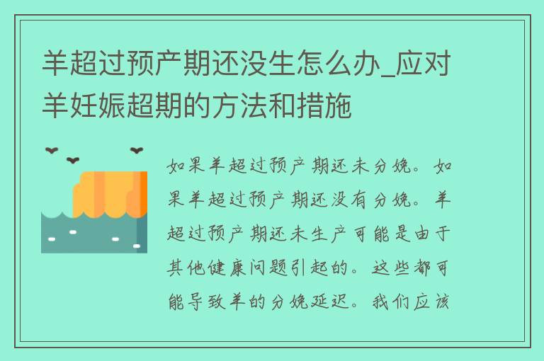 羊超过预产期还没生怎么办_应对羊妊娠超期的方法和措施