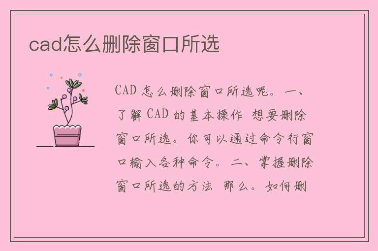 cad怎么删除窗口所选