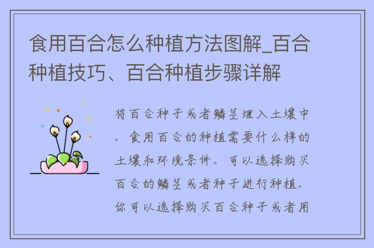 食用百合怎么种植方法图解_百合种植技巧、百合种植步骤详解