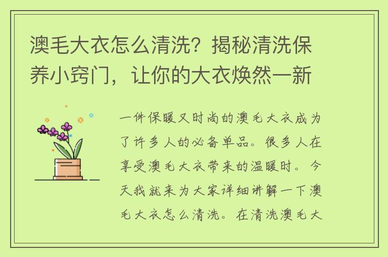 澳毛大衣怎么清洗？揭秘清洗保养小窍门，让你的大衣焕然一新！