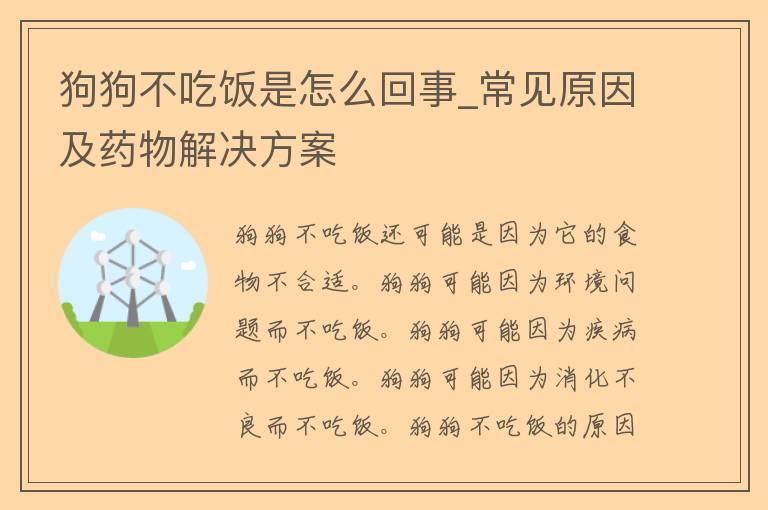 狗狗不吃饭是怎么回事_常见原因及药物解决方案