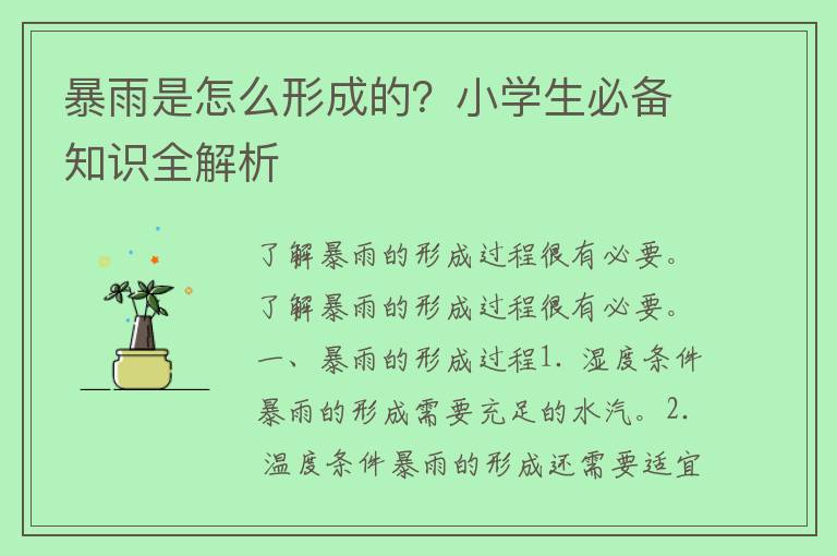 暴雨是怎么形成的？小学生必备知识全解析