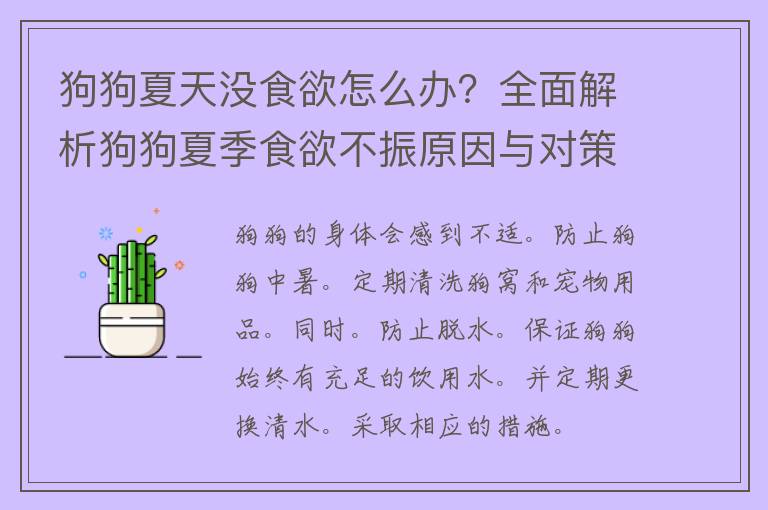 狗狗夏天没食欲怎么办？全面解析狗狗夏季食欲不振原因与对策