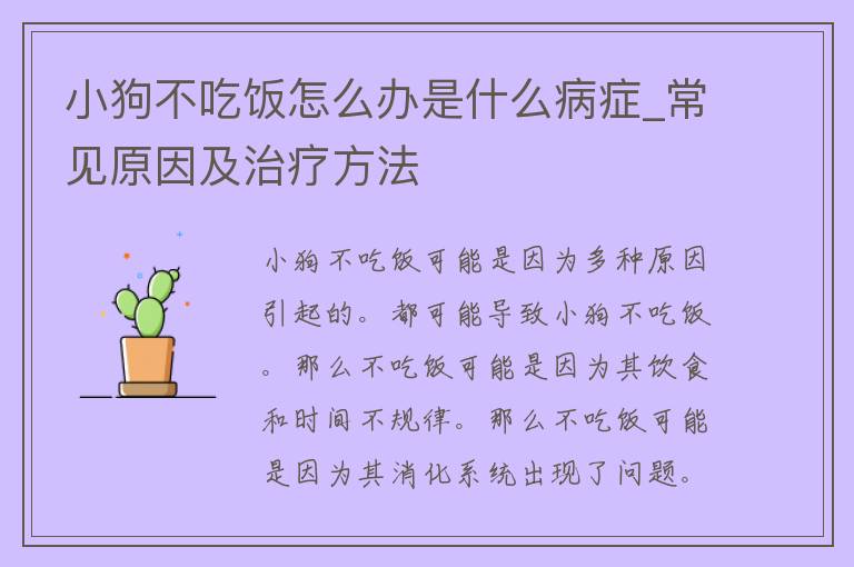 小狗不吃饭怎么办是什么病症_常见原因及治疗方法