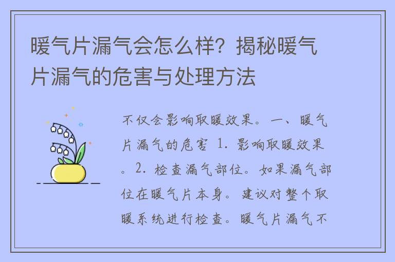 暖气片漏气会怎么样？揭秘暖气片漏气的危害与处理方法