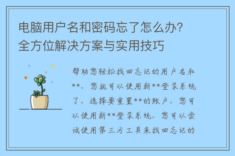 电脑用户名和密码忘了怎么办？全方位解决方案与实用技巧