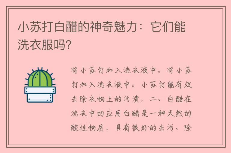 小苏打白醋的神奇魅力：它们能洗衣服吗？