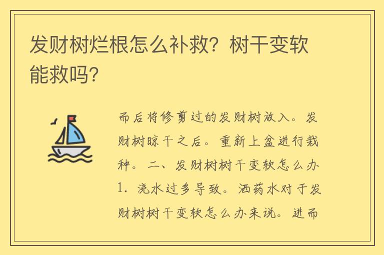 发财树烂根怎么补救？树干变软能救吗？