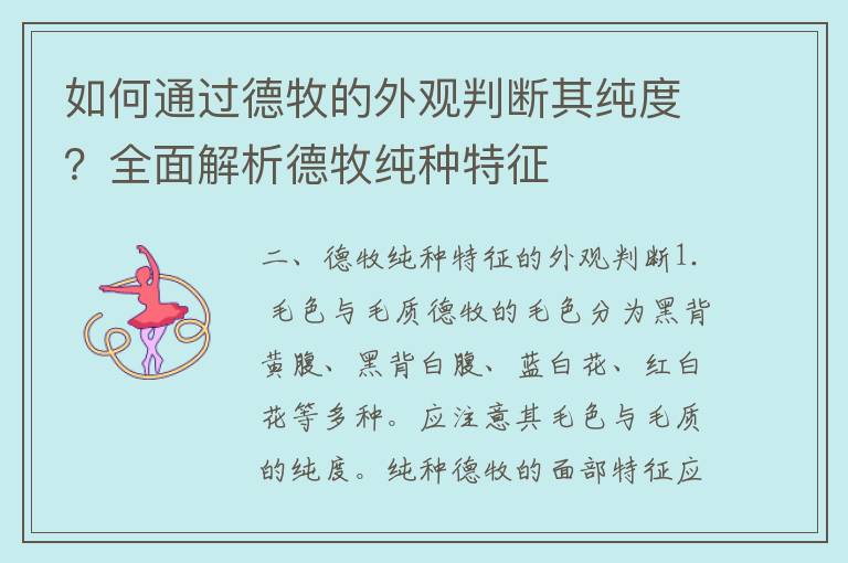 如何通过德牧的外观判断其纯度？全面解析德牧纯种特征