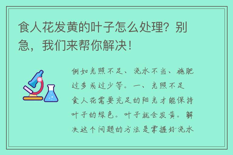 食人花发黄的叶子怎么处理？别急，我们来帮你解决！