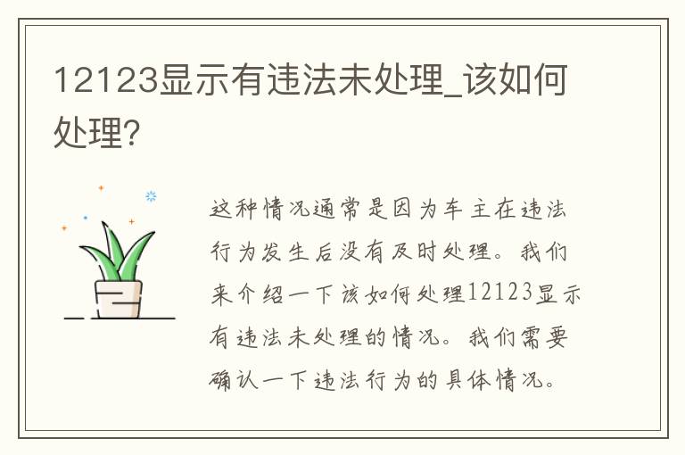 12123显示有违法未处理_该如何处理？