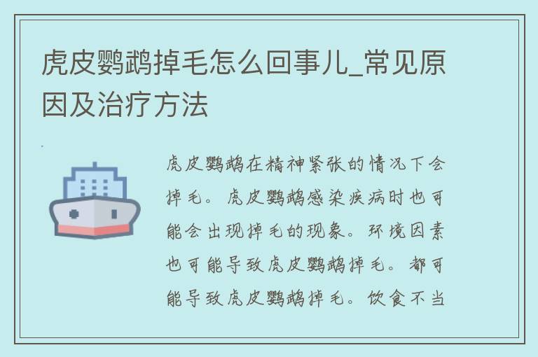 虎皮鹦鹉掉毛怎么回事儿_常见原因及治疗方法