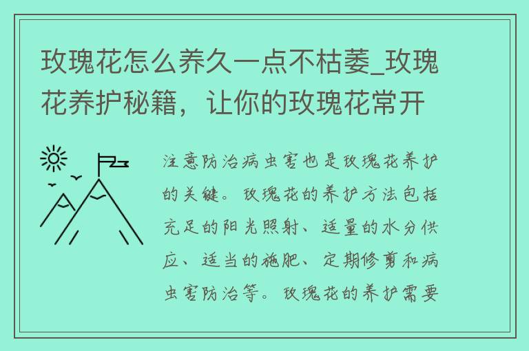 玫瑰花怎么养久一点不枯萎_玫瑰花养护秘籍，让你的玫瑰花常开常新