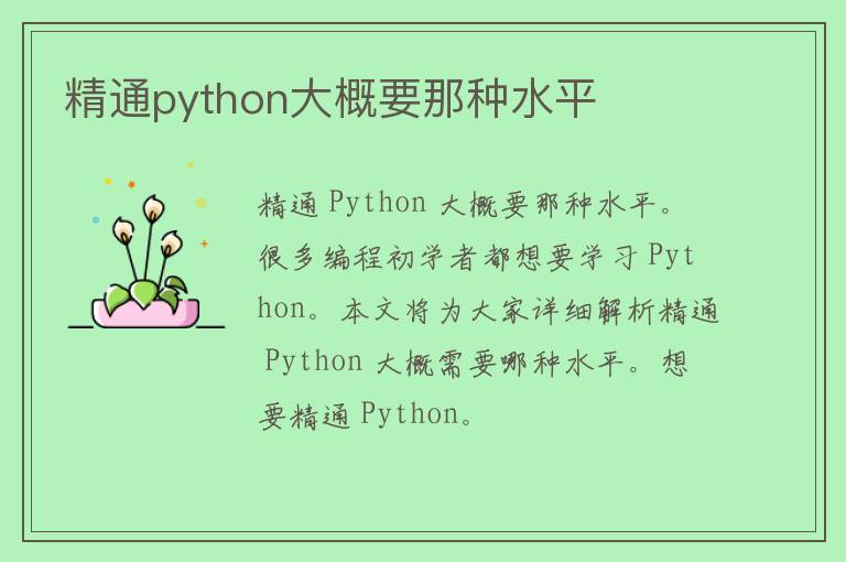 精通python大概要那种水平