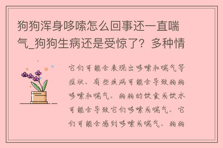 狗狗浑身哆嗦怎么回事还一直喘气_狗狗生病还是受惊了？多种情况分析。