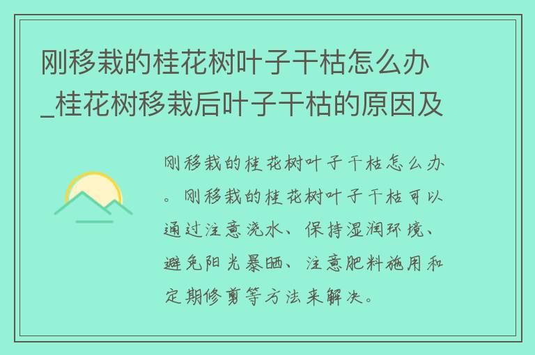 刚移栽的桂花树叶子干枯怎么办_桂花树移栽后叶子干枯的原因及护理方法