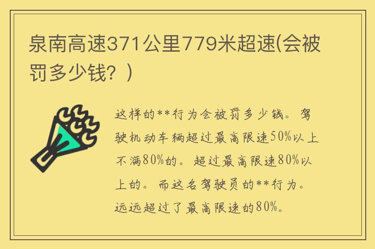 泉南高速371公里779米**(会被罚多少钱？)