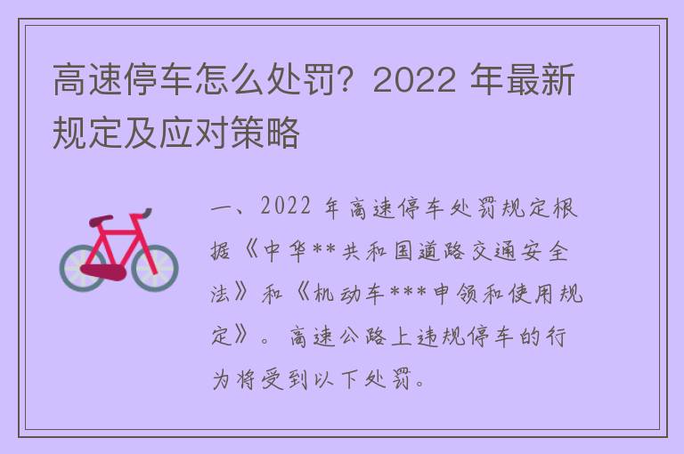 高速停车怎么处罚？2022 年最新规定及应对策略