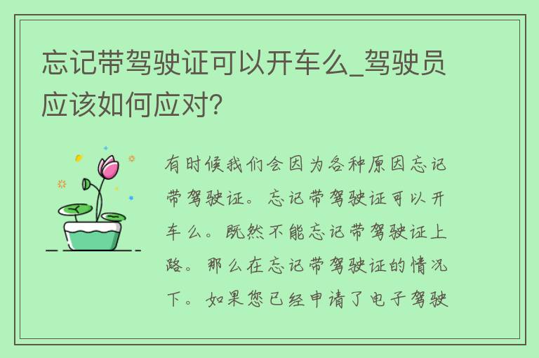 忘记带***可以开车么_驾驶员应该如何应对？