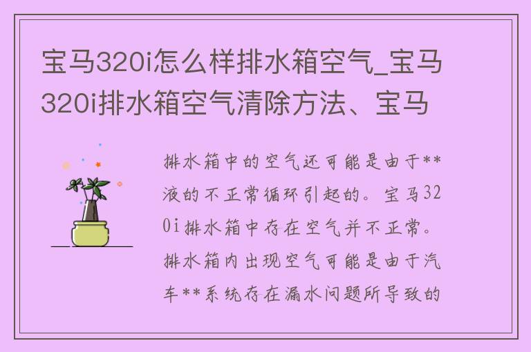 宝马320i怎么样排水箱空气_宝马320i排水箱空气清除方法、宝马320i排水箱空气处理技巧