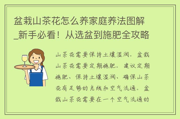 盆栽山茶花怎么养家庭养法图解_新手必看！从选盆到施肥全攻略