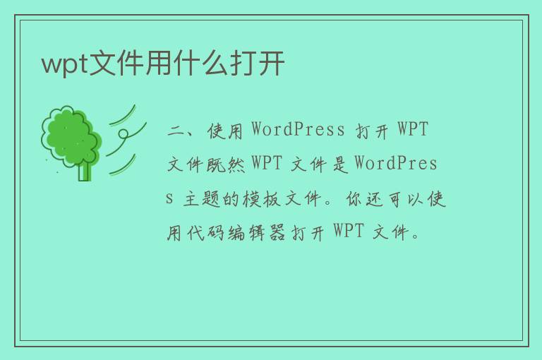 wpt文件用什么打开