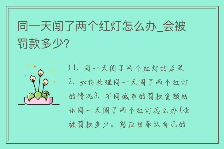 同一天闯了两个红灯怎么办_会被罚款多少？