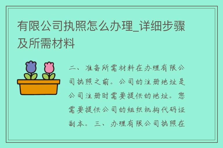 有限公司执照怎么办理_详细步骤及所需材料